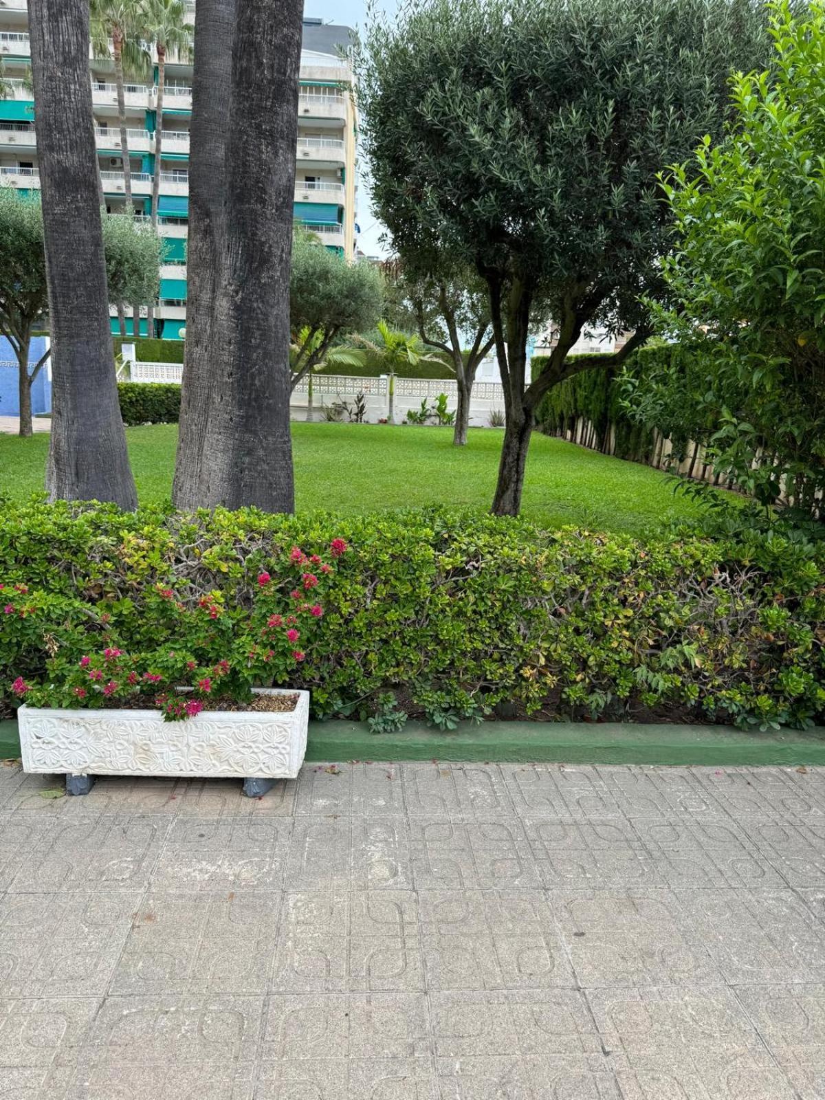Playa de Gandia Laramar 아파트 외부 사진